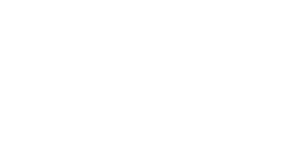 베트페이 logo